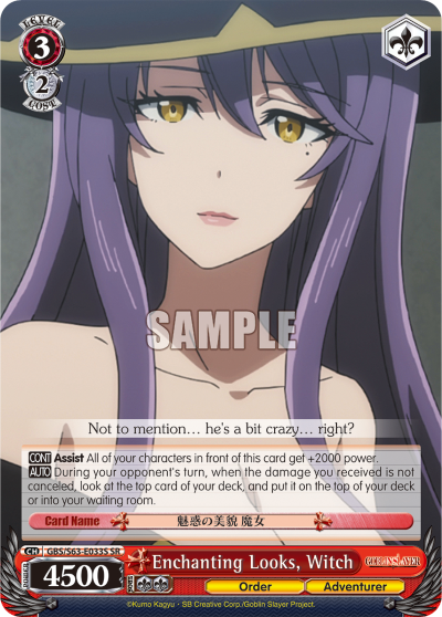 Enchanting Looks, Witch