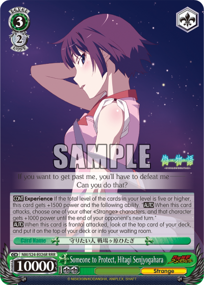 Someone to Protect, Hitagi Senjyogahara