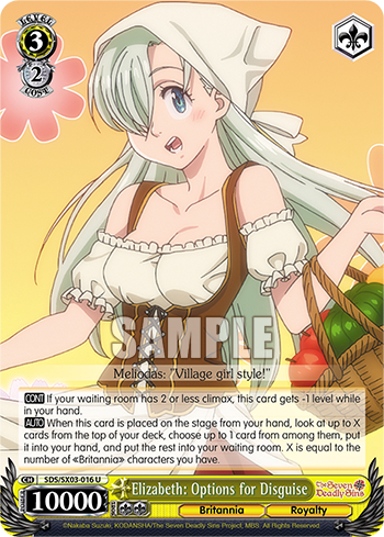 Elizabeth: Options for Disguise