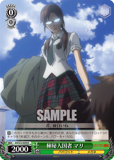 極秘入国者 マリゴクヒニュウコクシャ マリ