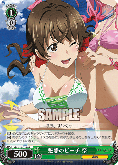 魅惑のビーチ 祭ミワクノビーチ ハレ