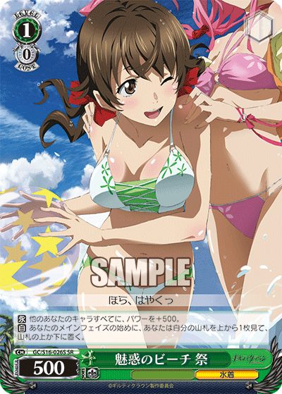 魅惑のビーチ 祭ミワクノビーチ ハレ