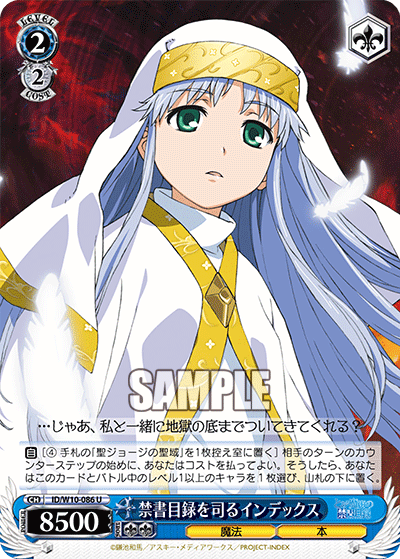 禁書目録を司るインデックスキンショモクロクヲツカサドルインデックス