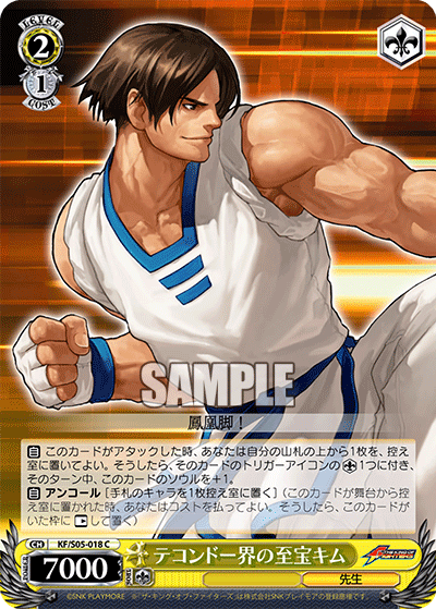 テコンドー界の至宝キムテコンドーカイノシホウキム