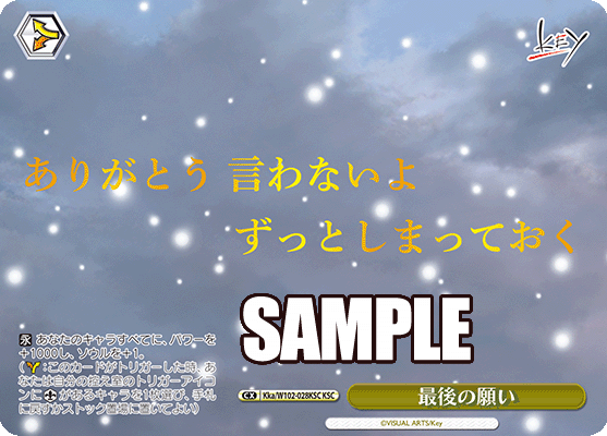 最後の願いサイゴノネガイ