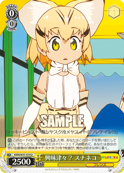 興味津々？ スナネコキョウミシンシン？ スナネコ