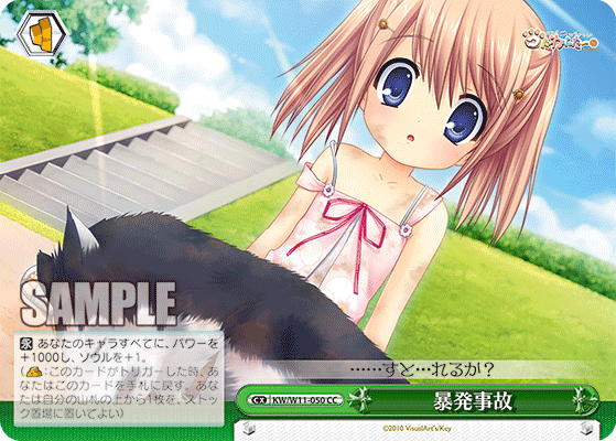 暴発事故ボウハツジコ