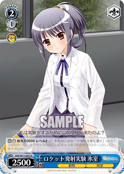 ロケット発射実験 氷室ロケットハッシャジッケン ヒムロ