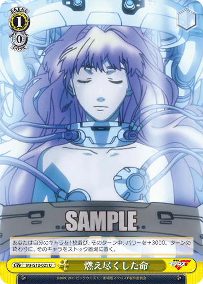 燃え尽くした命モエツクシタイノチ