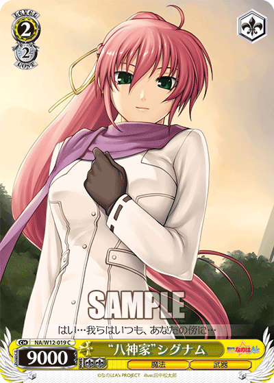 “八神家”シグナム“ヤガミケ”シグナム