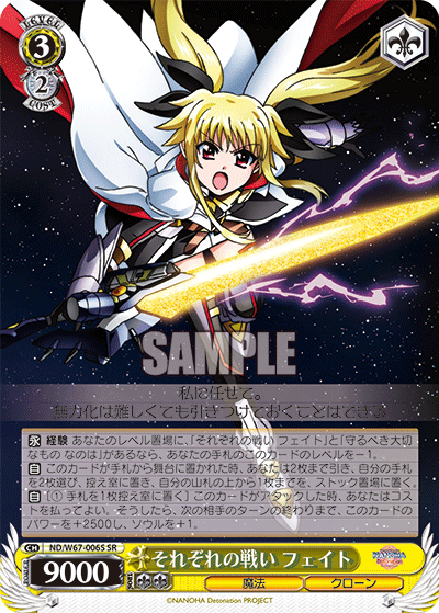 それぞれの戦い フェイトソレゾレノタタカイフェイト