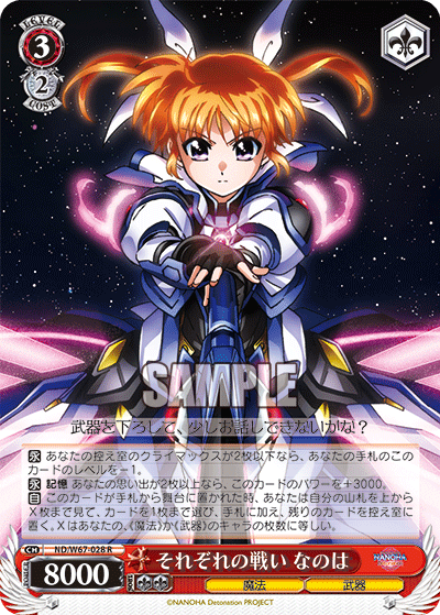 それぞれの戦い なのはセイソウケンノタイジナノハ