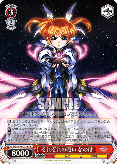 それぞれの戦い なのはセイソウケンノタイジナノハ