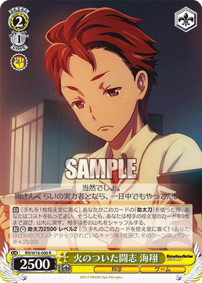 火のついた闘志 海翔ヒノツイタトウシカイト