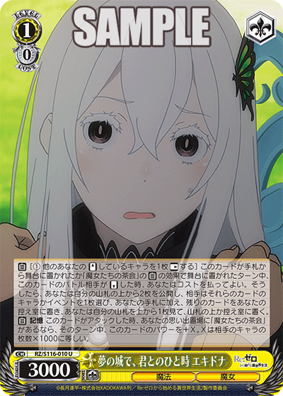 夢の城で、君とのひと時 エキドナユエノシロデ、キミトノヒトトキ エキドナ