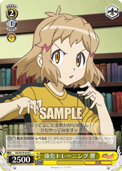 強化トレーニング 響キョウカトレーニング ヒビキ