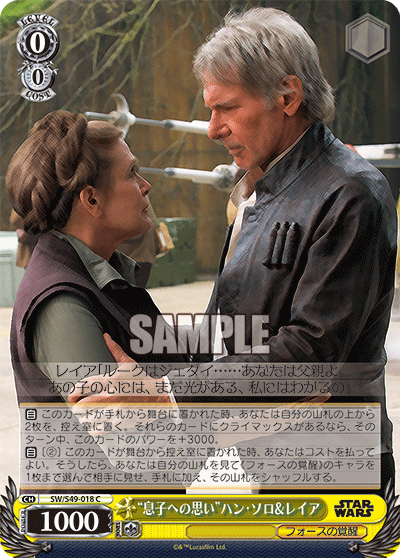 “息子への思い”ハン・ソロ&レイア“ムスコヘノオモイ”ハン・ソロ&レイア