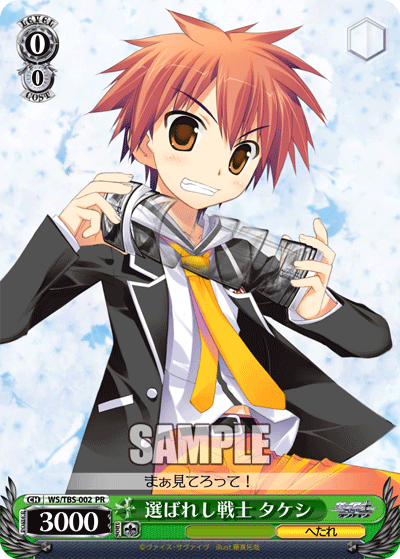 選ばれし戦士 タケシエラバレシセンシ タケシ